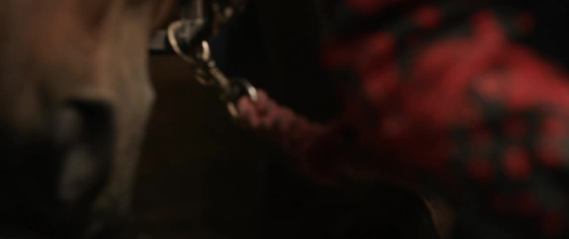 A person is standing in a barn with their horse