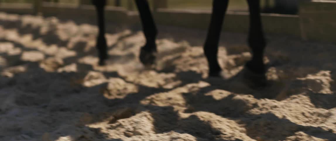 A horse trotting outdoors in a fenced in sandy area