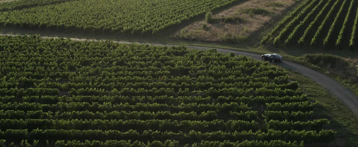 A black sports car is traveling on a rural road through farmland