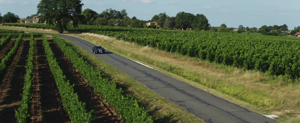 Aerial view of a sports car driving on a road through the vineyards at daytime