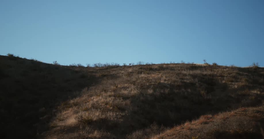 Light clear blue sky over the dry slopes of a hill at morning