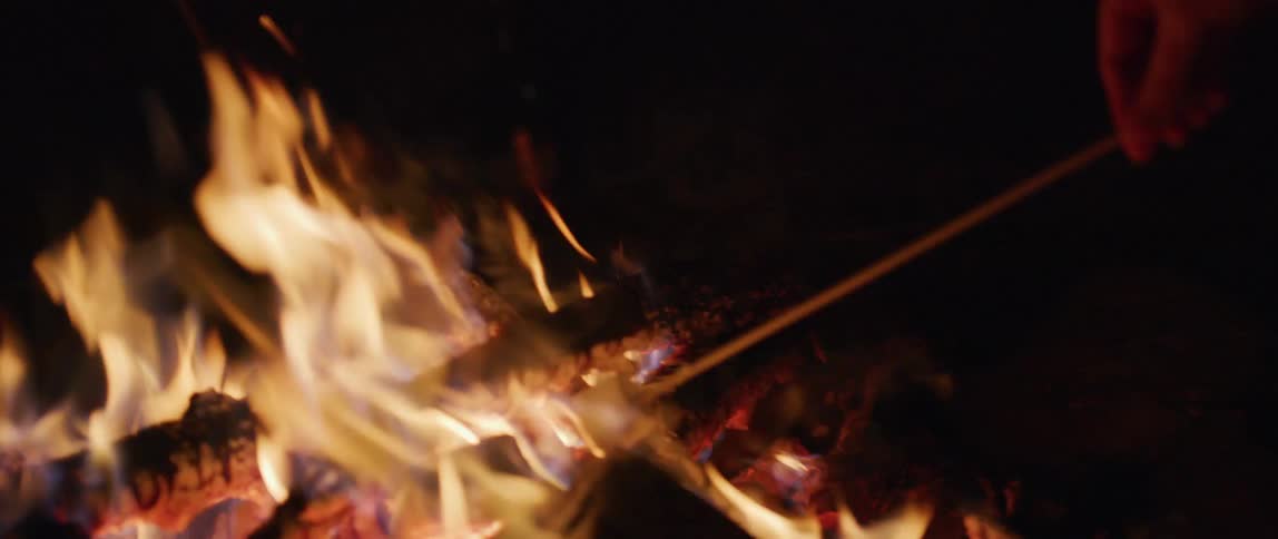 A person roasting marshmallows over a camp fire
