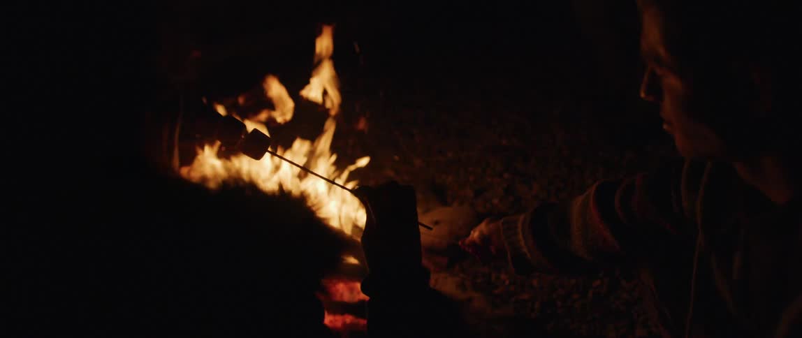 People are roasting marshmallows on the campfire