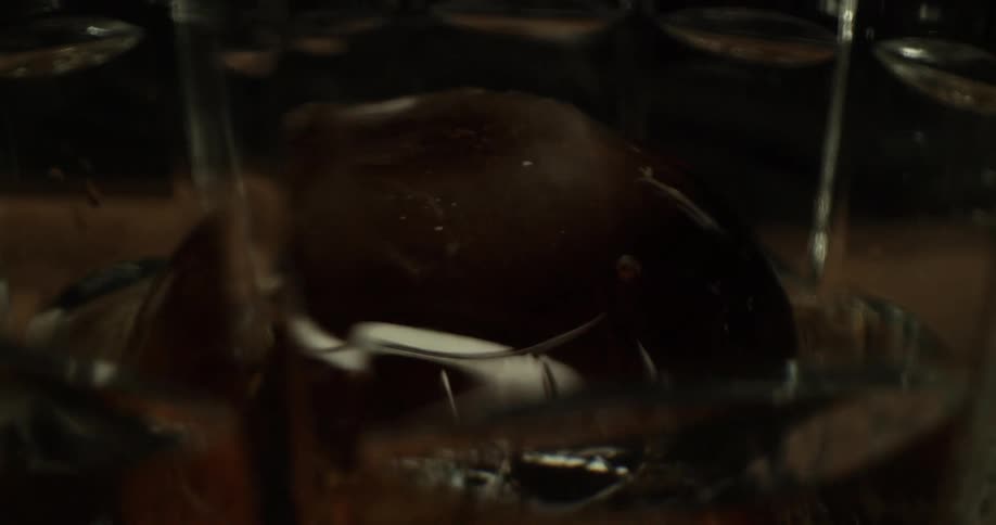 Liquor being poured over a round ice mold in a drinking glass