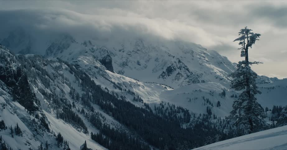 Pine trees covered in snow stand along snow covered forested mountains under a cloudy winter sky