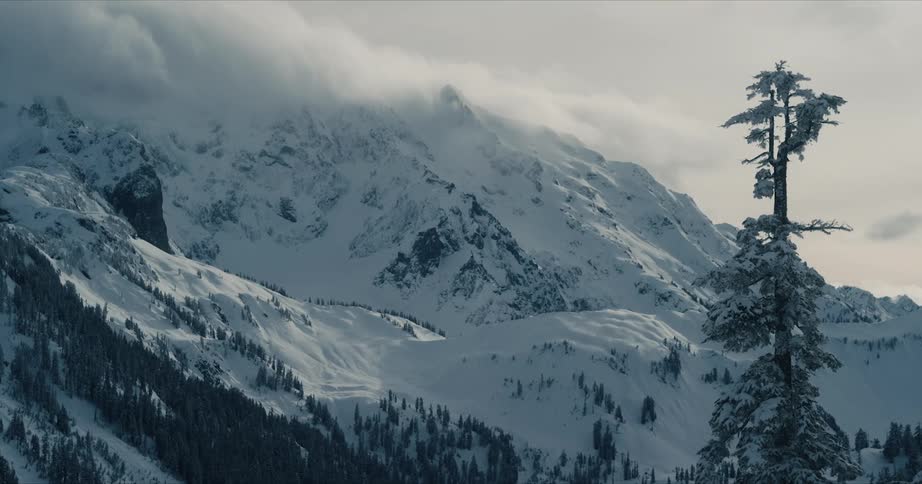 Pine trees covered in snow stand along snow covered forested mountains under a cloudy winter sky