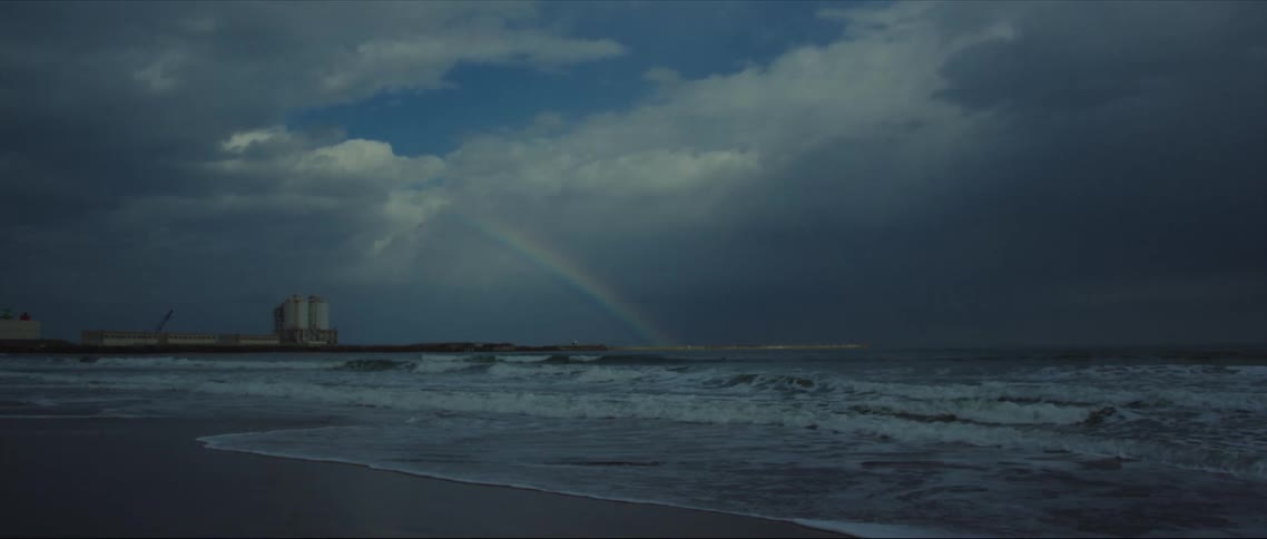 Rainbow sits in sky over plant on beach as waves roll onto sand