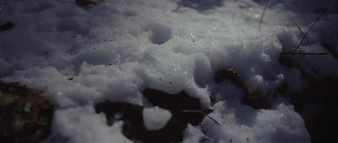 Close up of a snow covered ground