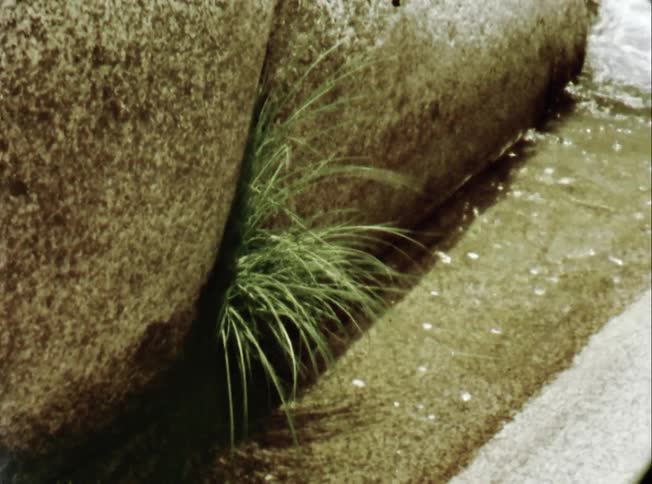 Water in a stream sparkles in the sunlight as grass growing between rocks moves in the breeze