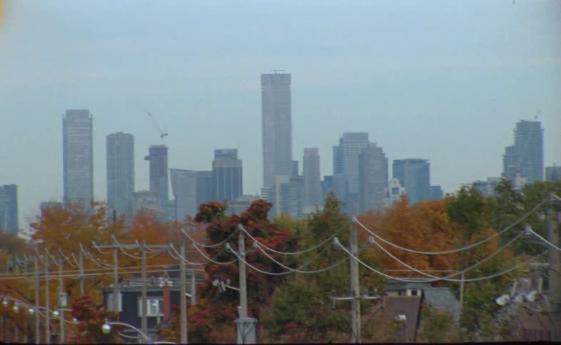 Trees with fall foliage dot neighborhood with foggy skyline in the background