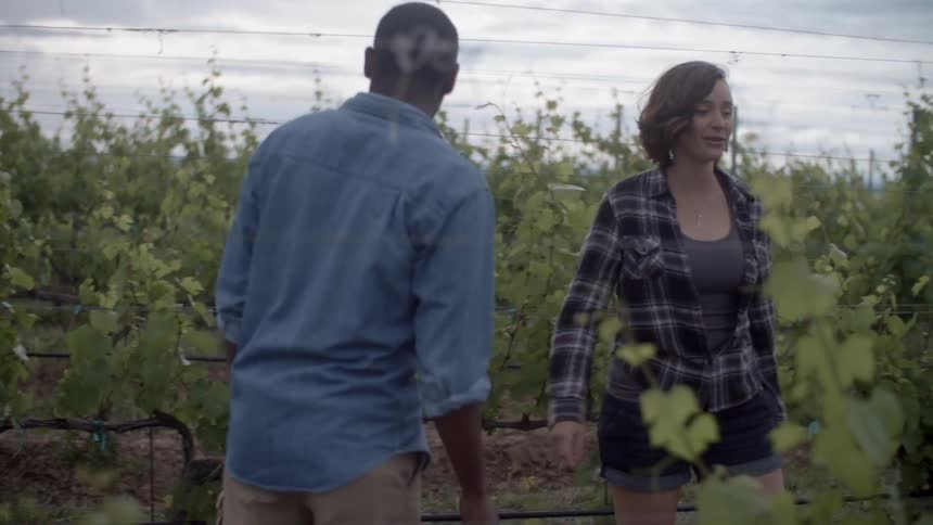 A man and woman walk through a vineyard by the water