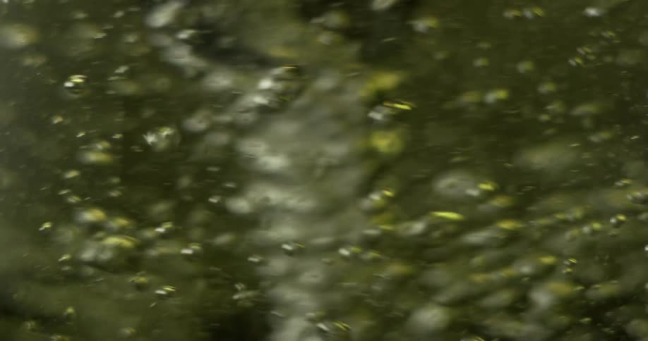 Close up view of bubbles in water is displayed