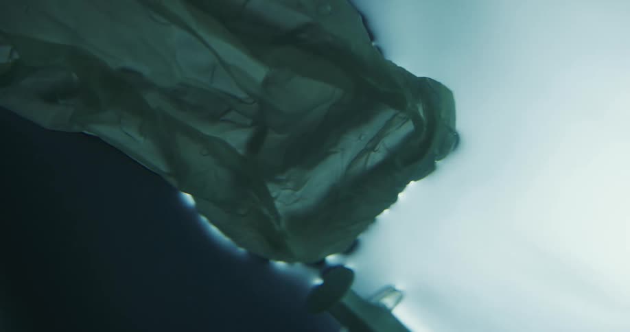 A syringe and a bag floating in water