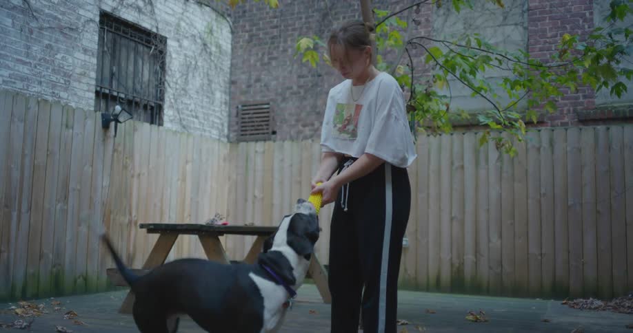 A woman uses a chewing toy to play with a dog in yard during the day