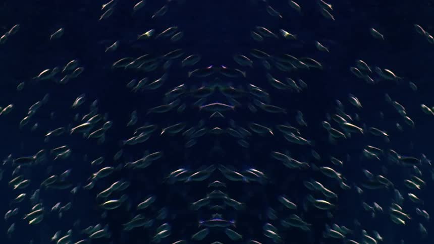 Abstract imagery is displayed in blue colors