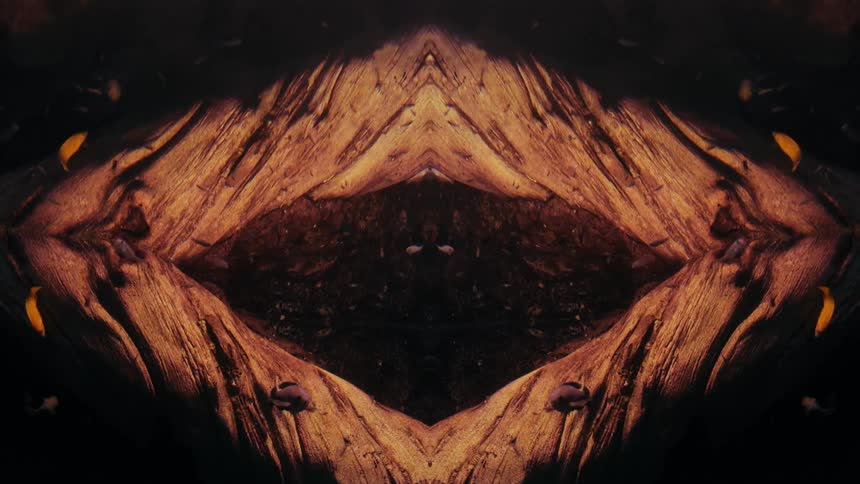 Digital image shows fish swimming and merging in front off textured quadrilateral shape