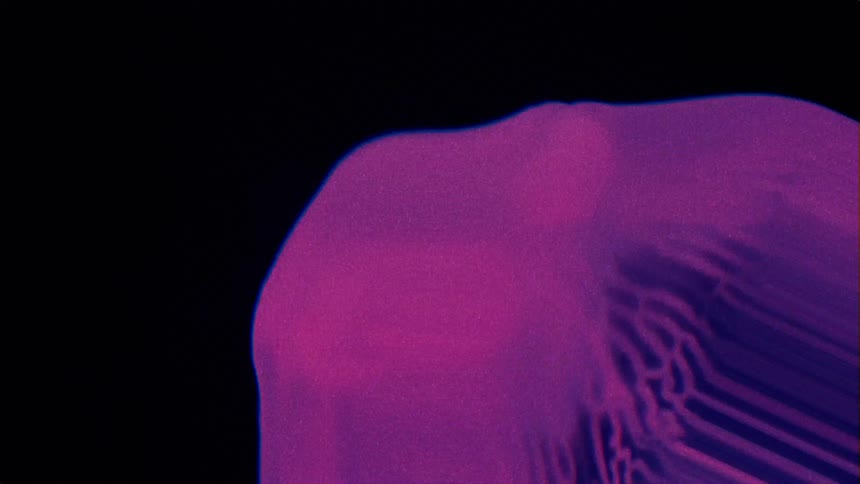 Close up of a colorful jellyfish swimming in the dark