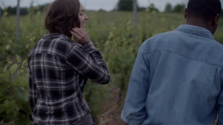 A man and woman walk down a row in an orchard