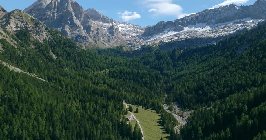 Aerial view of coniferous forest in valley and mountains