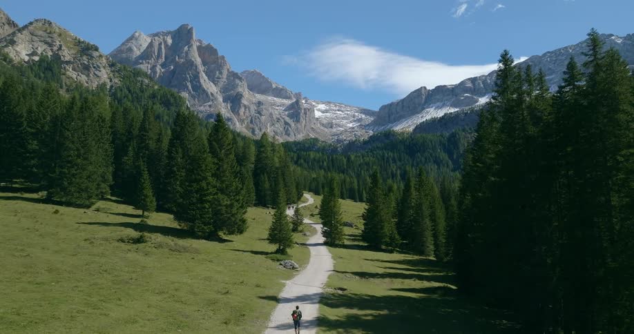 Hiker walks along dirt path through conifer forest and nearby field on the way toward mountains