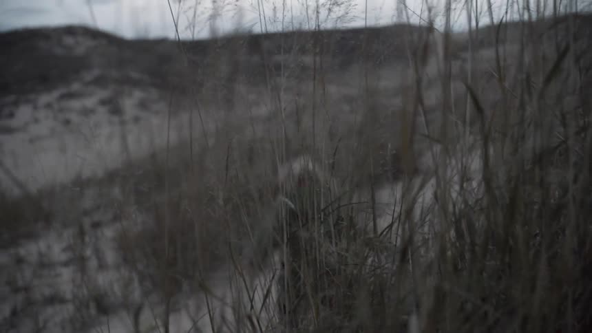 A person wearing a fur hooded coat jumps down from a hill