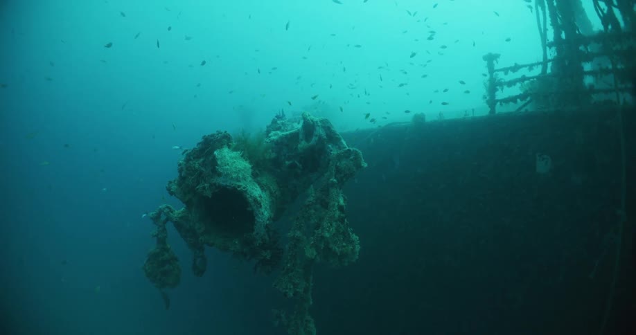 Fish swimming around a sunken ship in the ocean