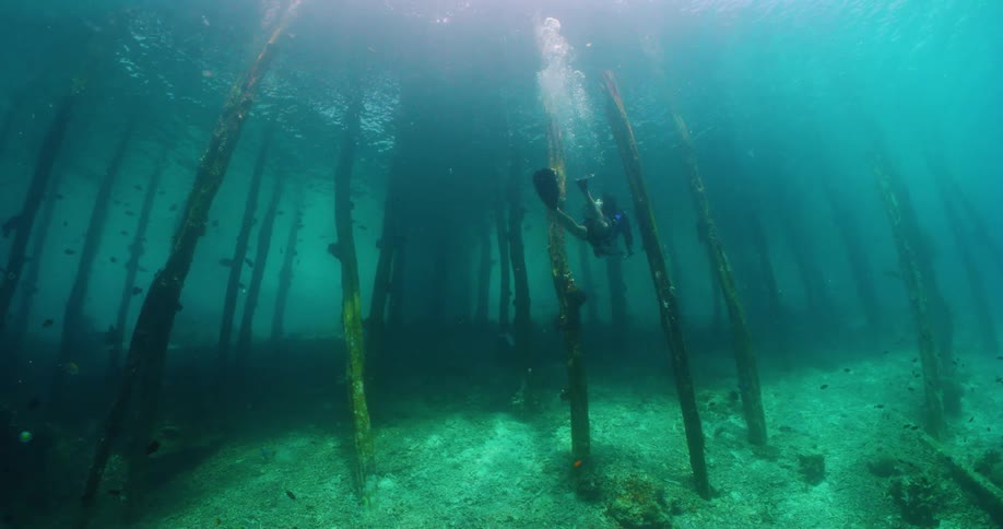 Scuba diver swims among poles rising from seafloor as bubbles rise to surface