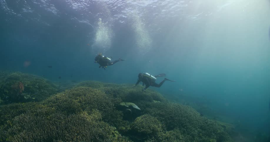 Divers in dive skin oxygen tube and fins swim underwater