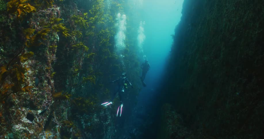 A pair of divers swim through a deep crevice in the ocean during the day