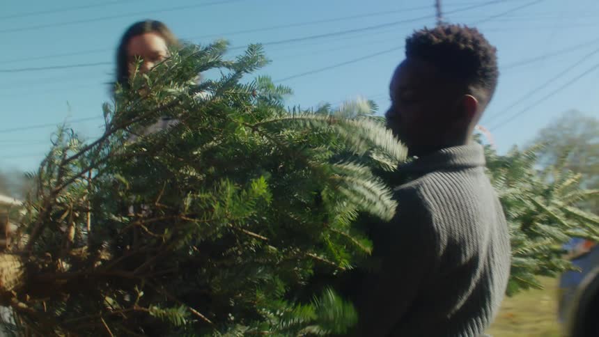 A boy carries a christmas tree while walking alongside a man away from a car