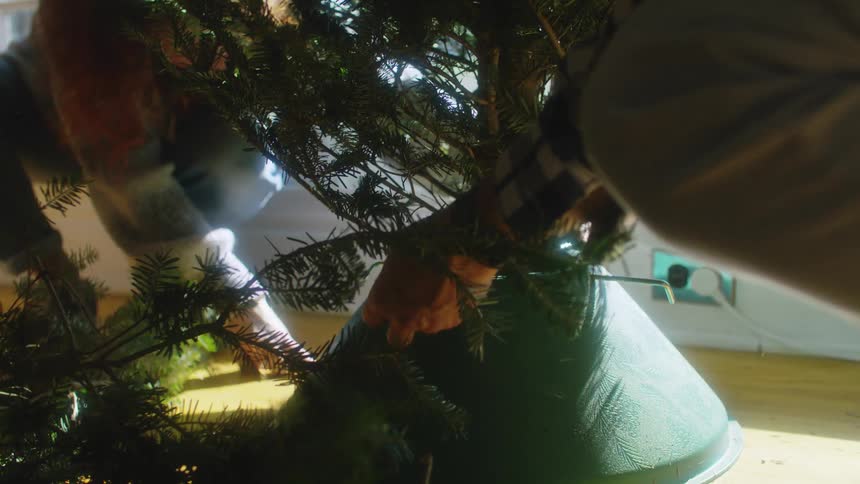 Two people set up a christmas tree at home
