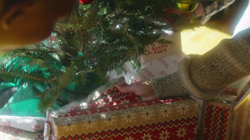 People with sweater and shirt puts presents under decorated christmas tree in room