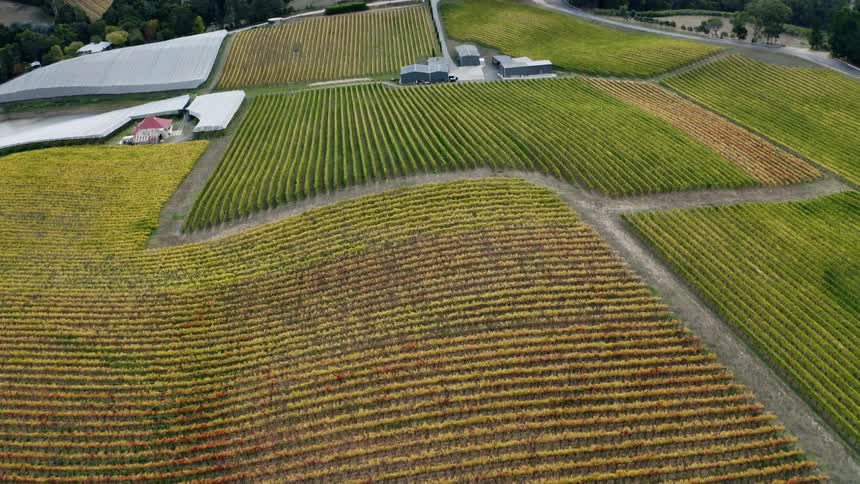 Aerial view of Adelaide Hills Vineyard