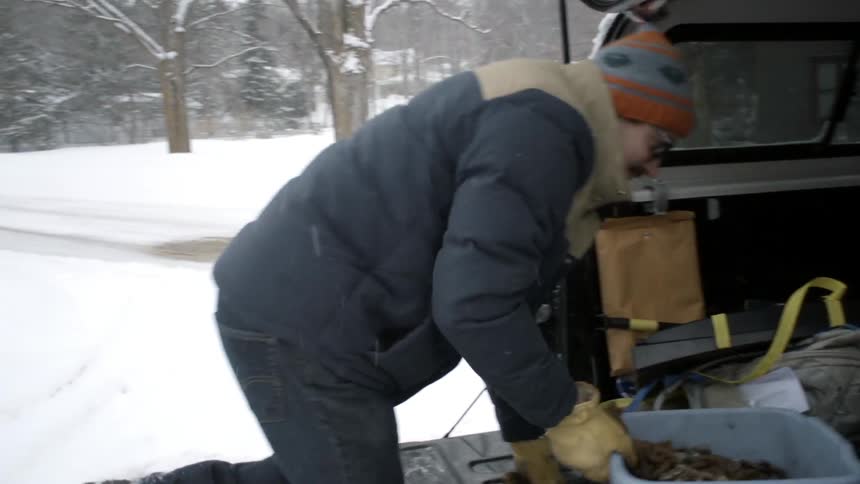 Man pulling chains out of the back of the car