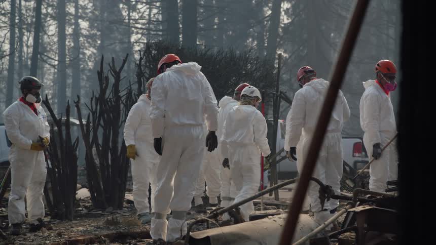 A group of people survey the aftermath of a forest fire