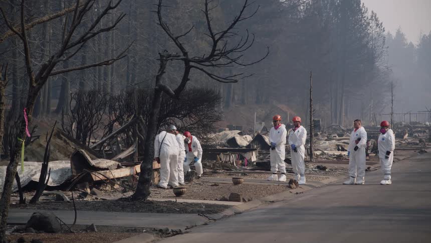 Government workers wearing coveralls examine destruction left by fire near foggy woods