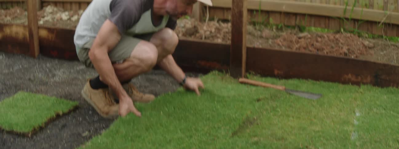 A man lays sod in a back yard
