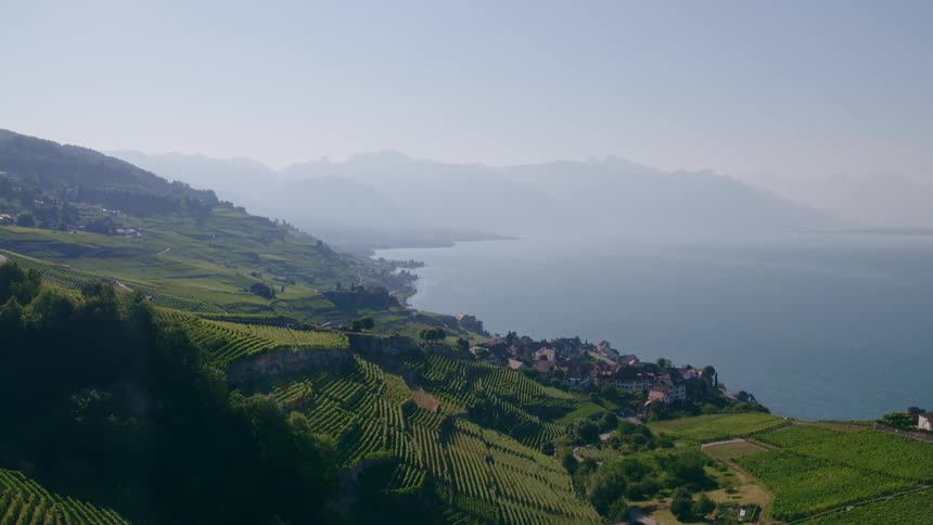 Aerial view of coastal village and farms on green hill slope