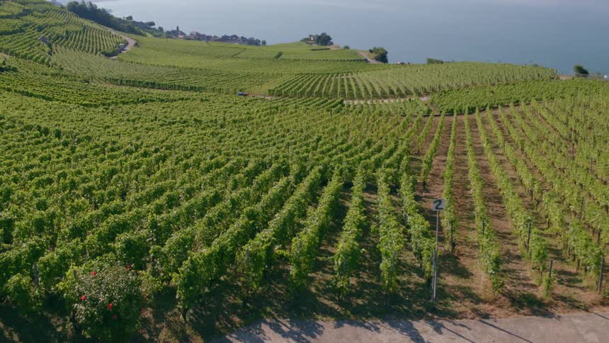 The view is of a farming area and lots of plants and fields of grass