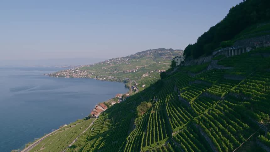 An aerial view of a mountainside with green fields on it along the coastline