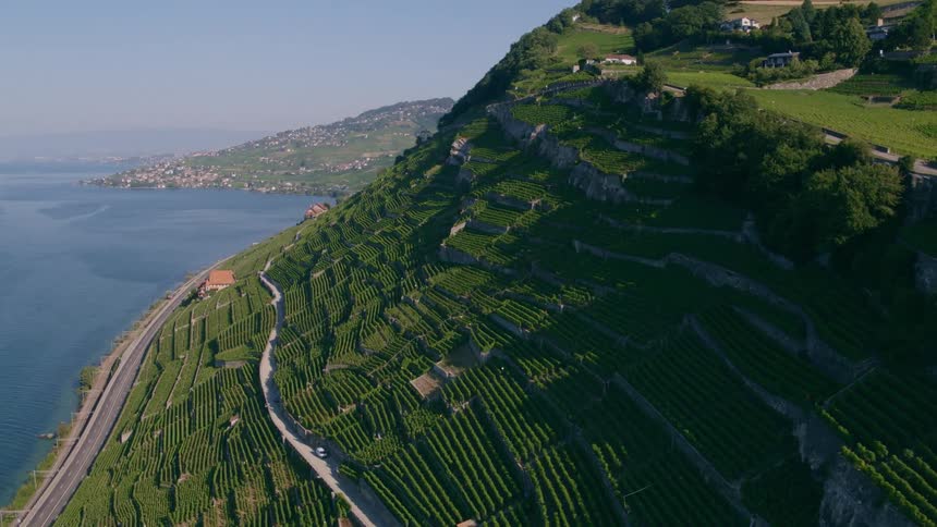 An aerial view of green fields along the hillside