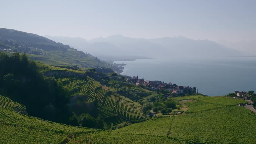 Aerial view of farmlands on hill slope and coastal town