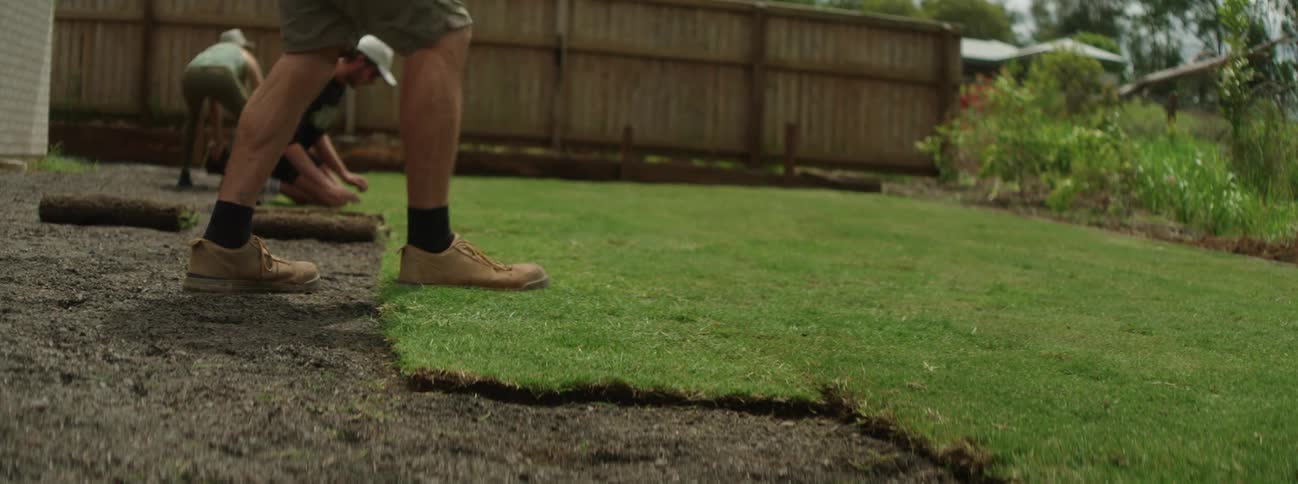 A gardener places and steps on grass being laid down on the yard