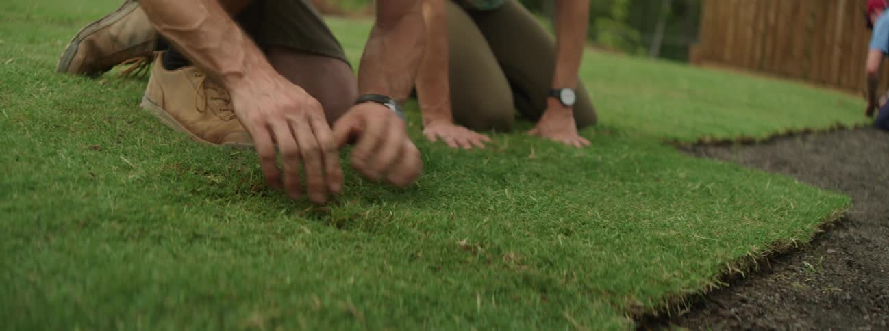 Men are planting grass in the yard