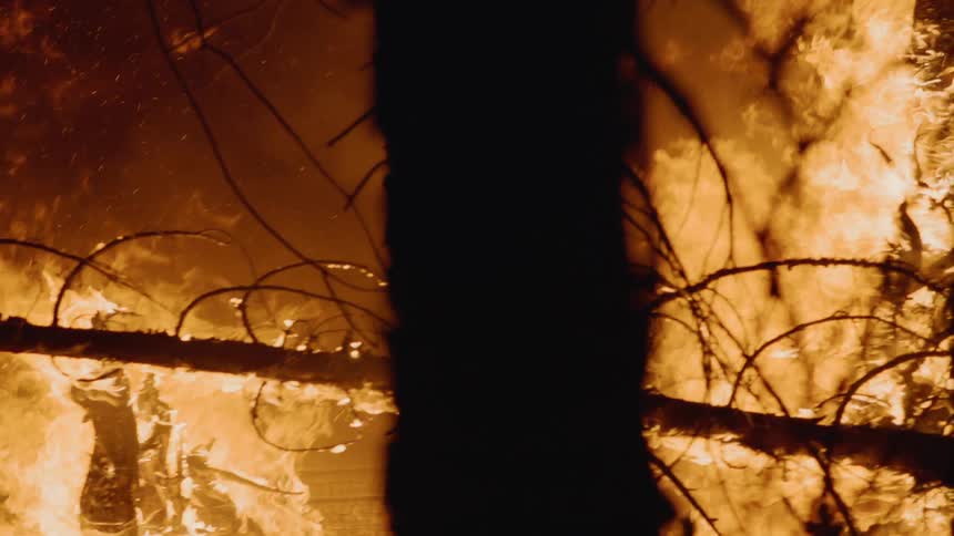 There is a wild fire and the trees are on fire at night time