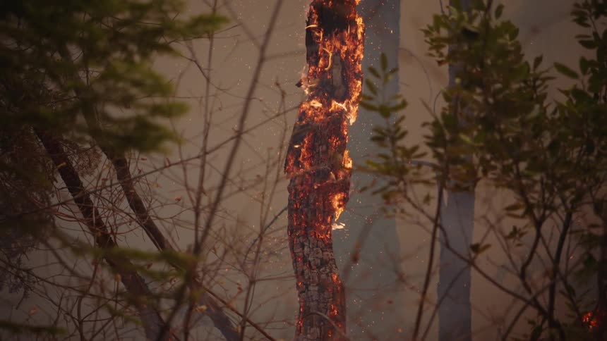 Fire burns in woods creating dense smoke