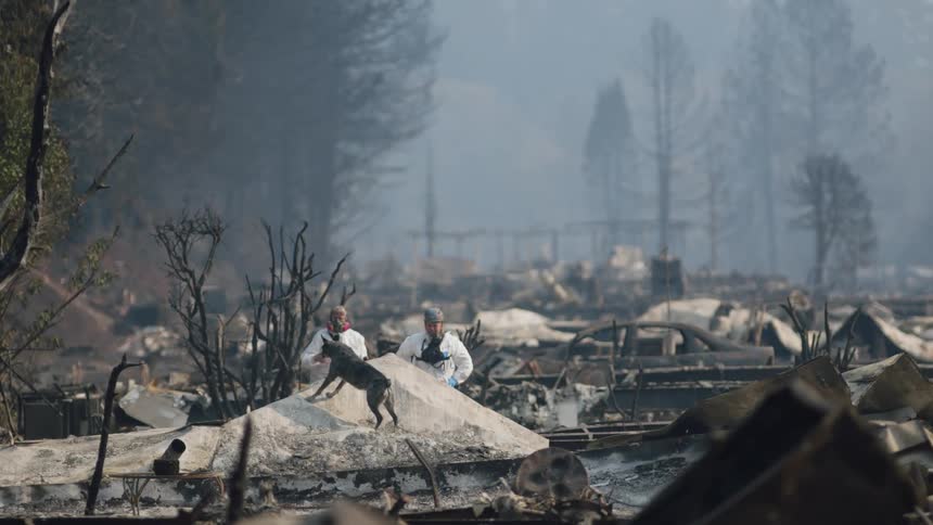 A dog walks around on rubble and debris near two workers wearing white suits