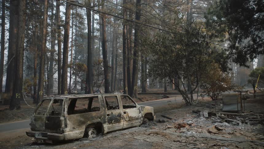 A burned out car in the woods