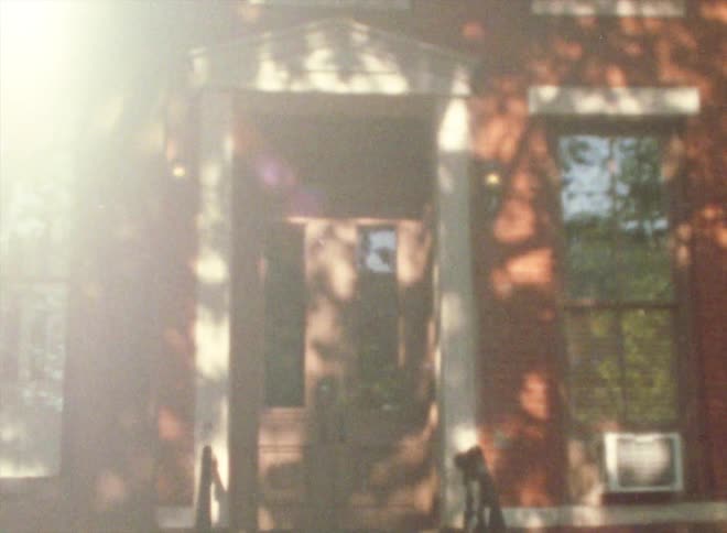The house has many windows