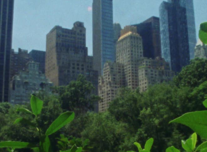 A downtown city is displayed on film during the spring